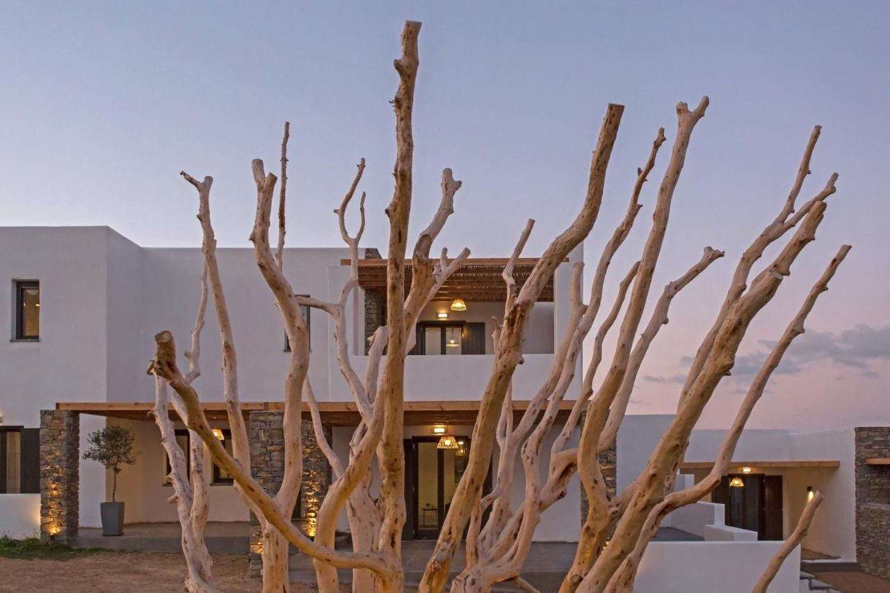 الشقق الفندقية أمبيلاسفي  Vastblue Of Paros المظهر الخارجي الصورة